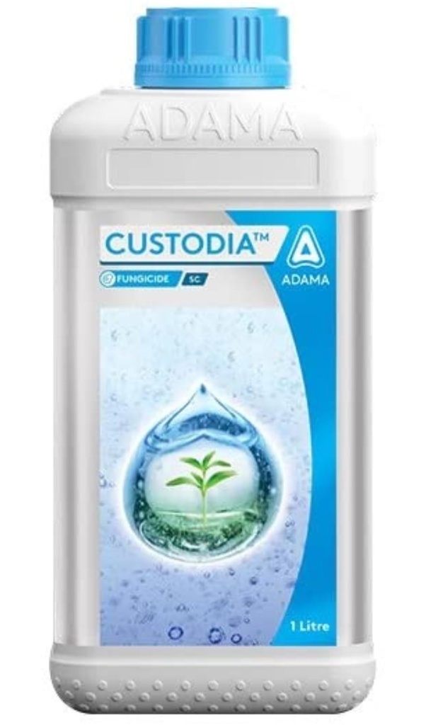 CUSTODIA