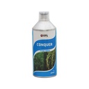 CONQUER
