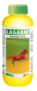 Lagaam
