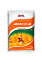 LANCER GOLD