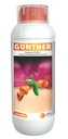 GUNTHER
