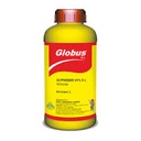 GLOBUS