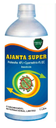 AJANTA SUPER