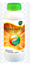 MAGNITE