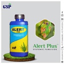 Alert Plus