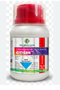 Citigen