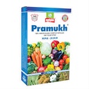 PRAMUKH