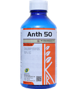 Anth 50