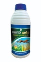 PARATECH GOLD