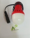 LED BULB