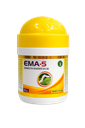 EMA-5