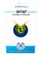 DITAF