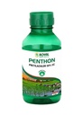 Penthon