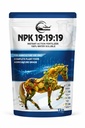 Cropkraft NPK 19:19:19