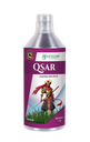 QSAR