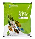 NPK-00:52:34 
