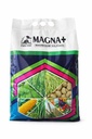 FV MAGNA +