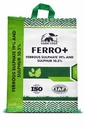FV FERRO +
