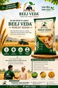 WHEAT SEED