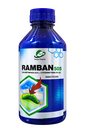 RAMBAN 505
