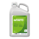 INFINITO