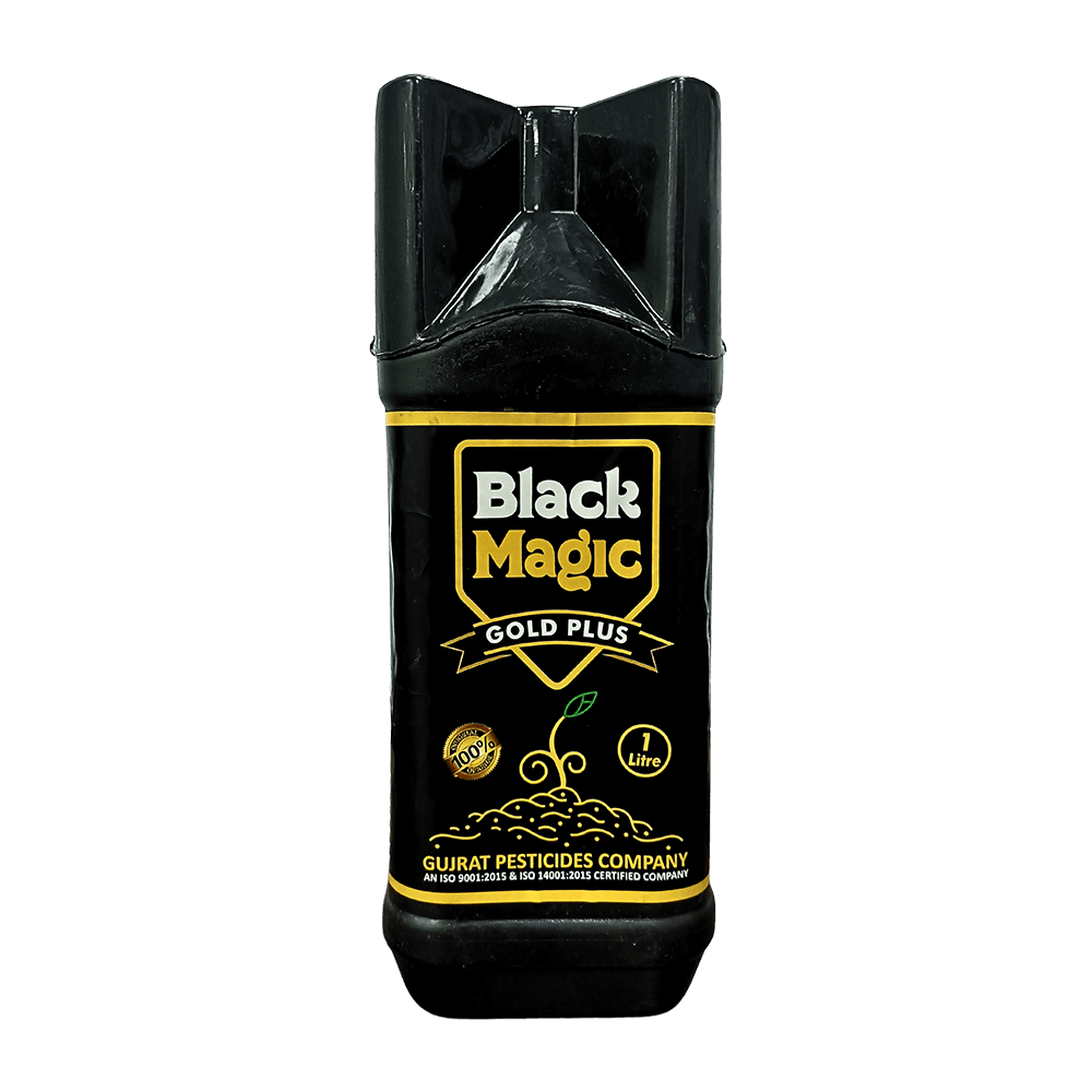 BLACK MAGIC GOLD PLUS